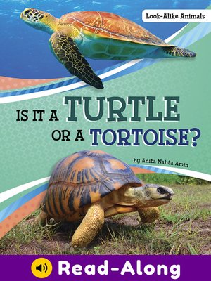 cover image of Is It a Turtle or a Tortoise?